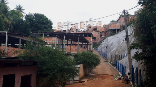 TerraGis - Terra Gis - Identificação de medidas para adaptação à mudança do clima baseadas em ecossistemas em comunidades vulneráveis em Salvador – Bahia 2