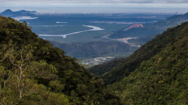 TerraGis - Integração de Adaptação baseada em Ecossistemas (AbE) no Plano Municipal de Conservação e recuperação da Mata Atlântica do Município de Santos